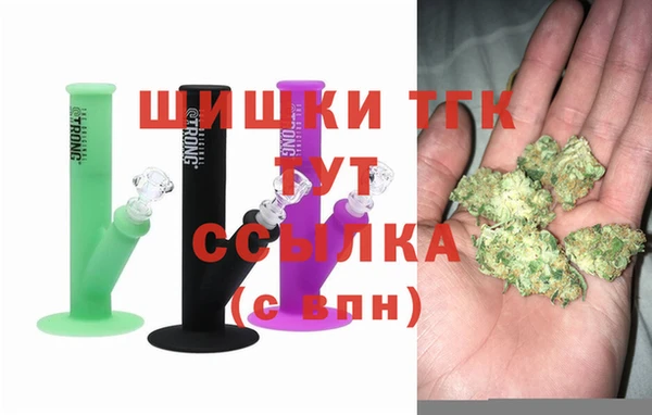 соль ск Богданович