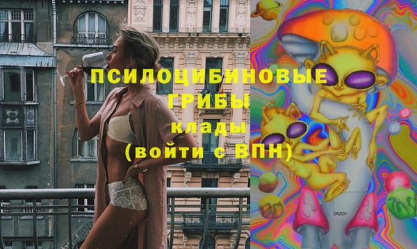 стафф Богородск