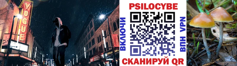 Псилоцибиновые грибы Psilocybine cubensis  Мценск 