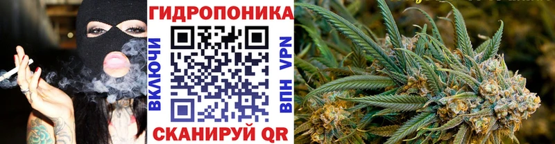 блэк спрут зеркало  Мценск  Конопля планчик 